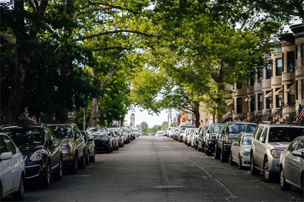 Beneficios de los bosques urbanos