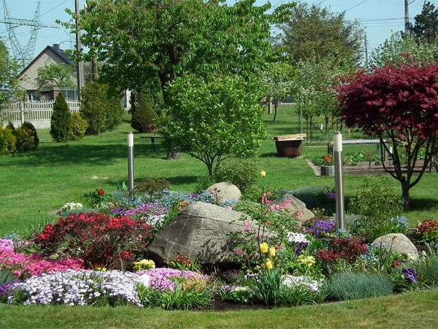 Beneficios de plantar árboles grandes en tu jardín