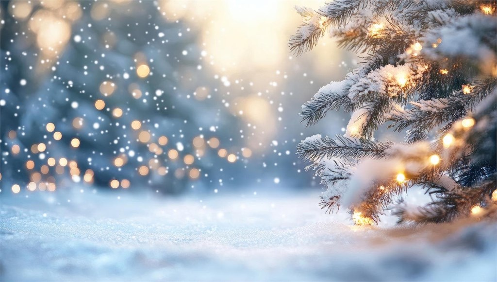 El impacto de la nieve en los árboles: consejos para minimizar los daños