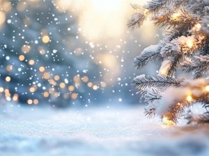 El impacto de la nieve en los árboles: consejos para minimizar los daños