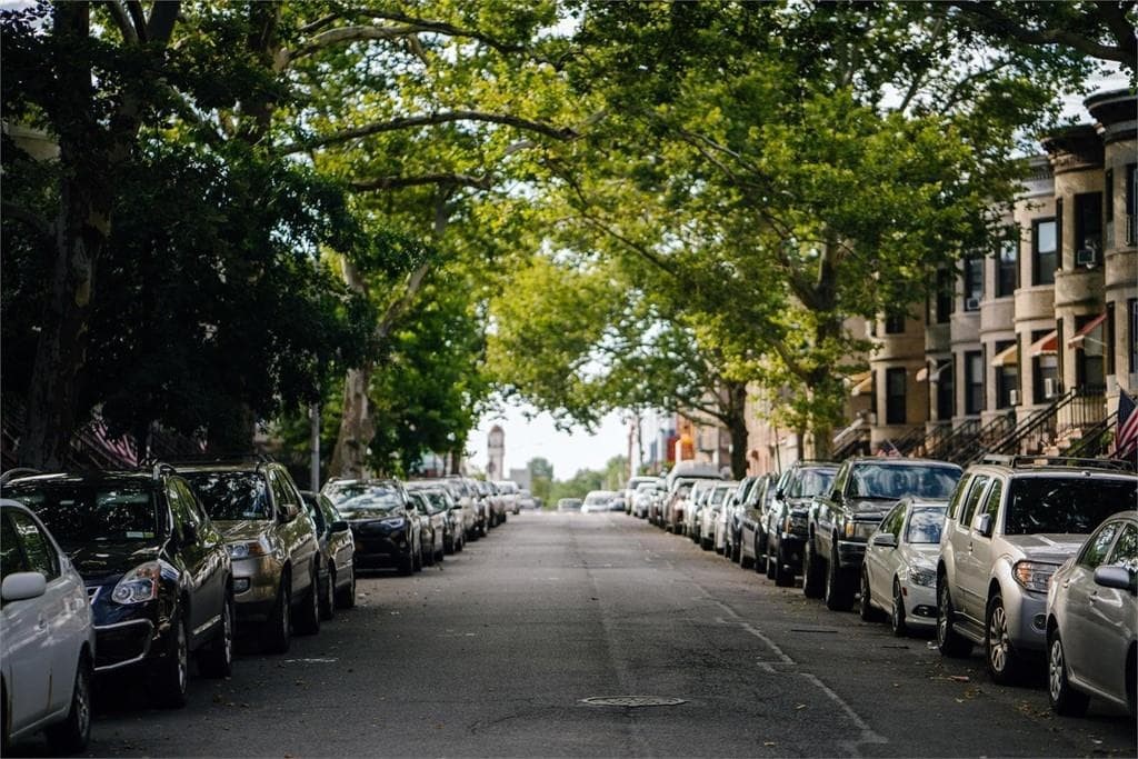 ¡Es el momento de disfrutar de los beneficios que generan los árboles en entornos urbanos!