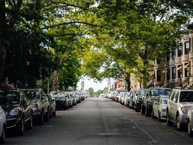 ¡Es el momento de disfrutar de los beneficios que generan los árboles en entornos urbanos!