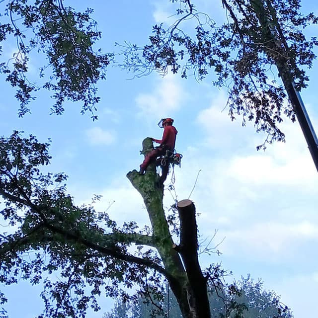 Contactar con Os das Árbores en Ponteareas