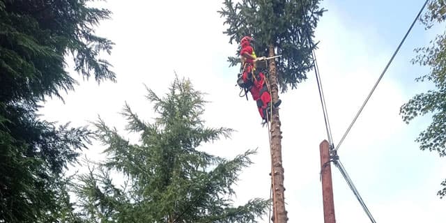 Galería de Os das Árbores en Ponteareas