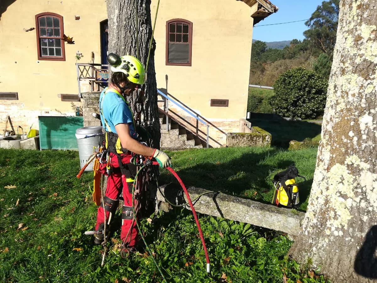 Trabajos en jardines y fincas privadas