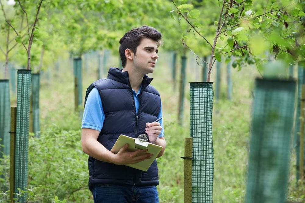 ¿Por qué es importante el asesoramiento técnico en arboricultura?