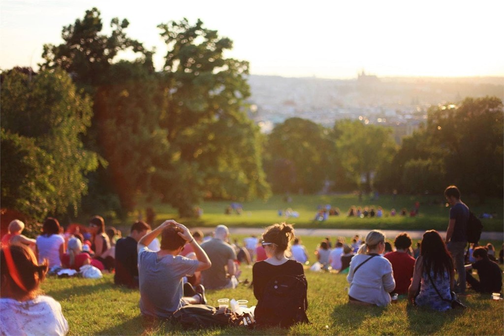 ¿Qué significa el concepto Urban Forestry?