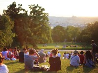 ¿Qué significa el concepto Urban Forestry?